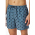 Schiesser Herren Badehose Shorts grün